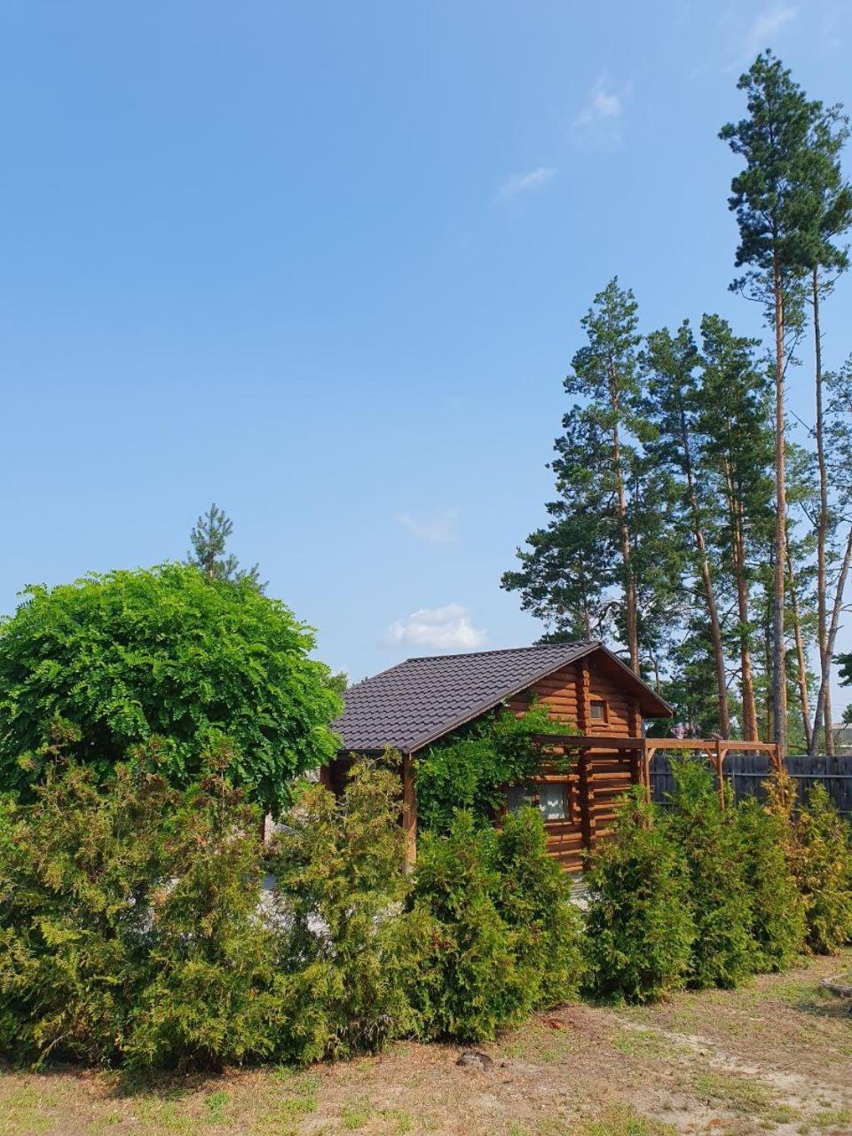 Gasthaus Eco Dom V Lesu Bila Krynytsia Exterior foto